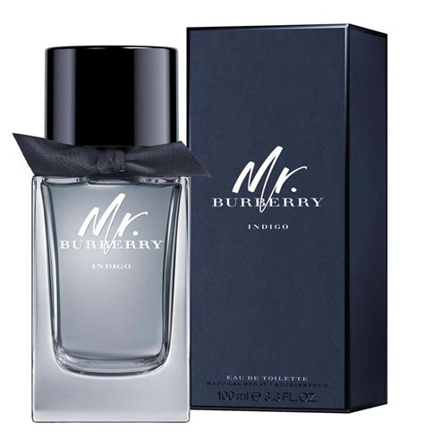 mr burberry by burberry for men|Burberry mr Burberry indigo.